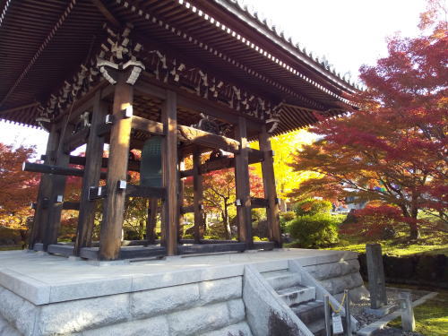 智積院 紅葉 2025 鐘楼堂辺り / 京都観光旅行ガイド