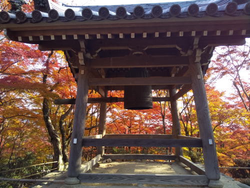 常寂光寺 紅葉 2025 鐘楼 / 京都観光旅行ガイド
