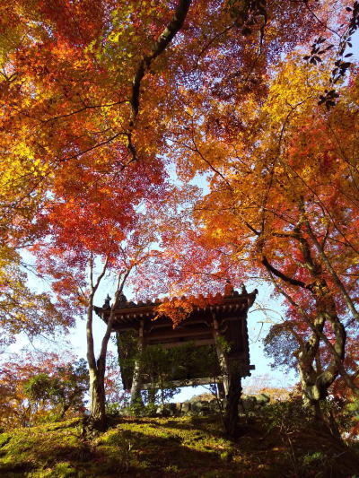 常寂光寺 紅葉 2025 鐘楼 / 京都観光旅行ガイド