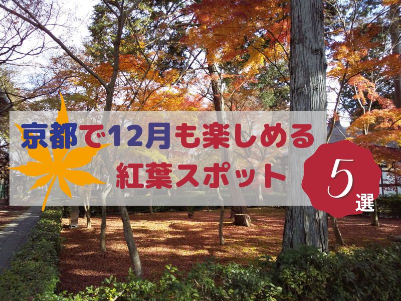 京都で12月も楽しめる紅葉スポット5選 / 京都観光旅行ガイド