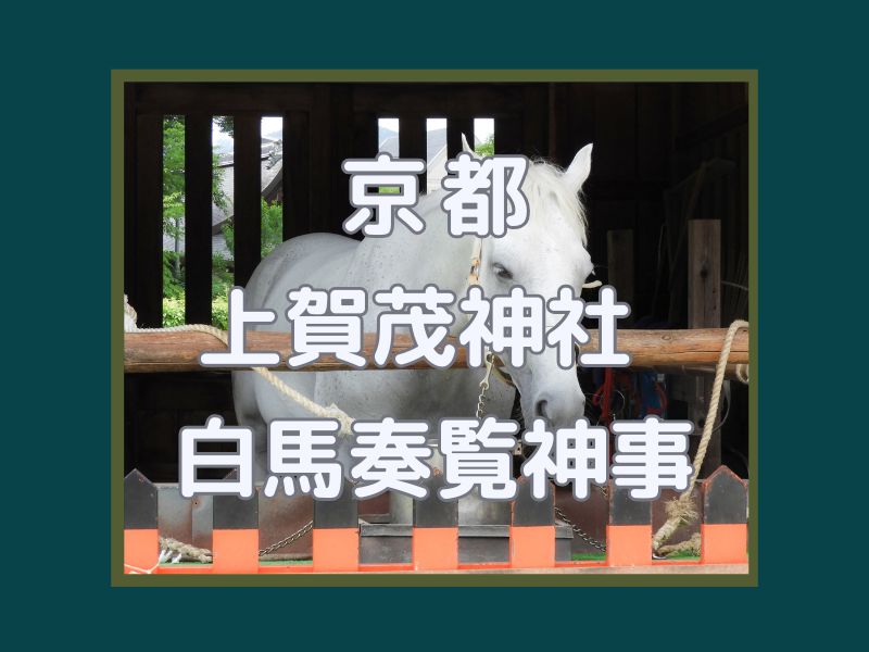 上賀茂神社 白馬奏覧神事 / 京都観光旅行ガイド