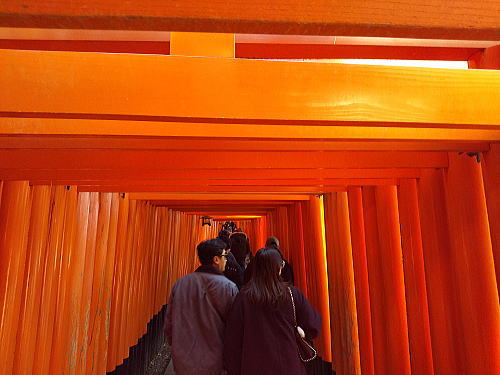 伏見稲荷大社 初詣 千本鳥居 / 京都観光旅行ガイド