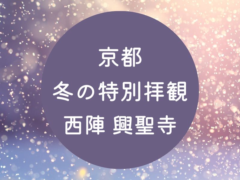 冬の特別拝観2026 西陣 興聖寺 / 京都観光旅行ガイド