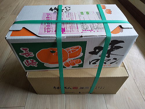 タウンライフのフルーツ定期便