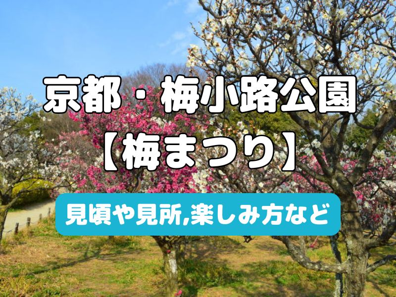梅小路公園 梅まつり / 京都観光旅行ガイド