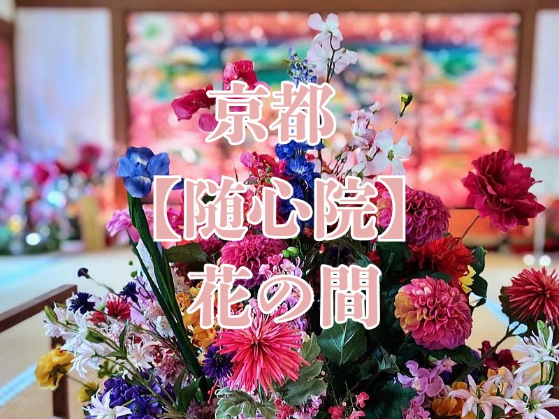 随心院 花の間 / 京都観光旅行ガイド