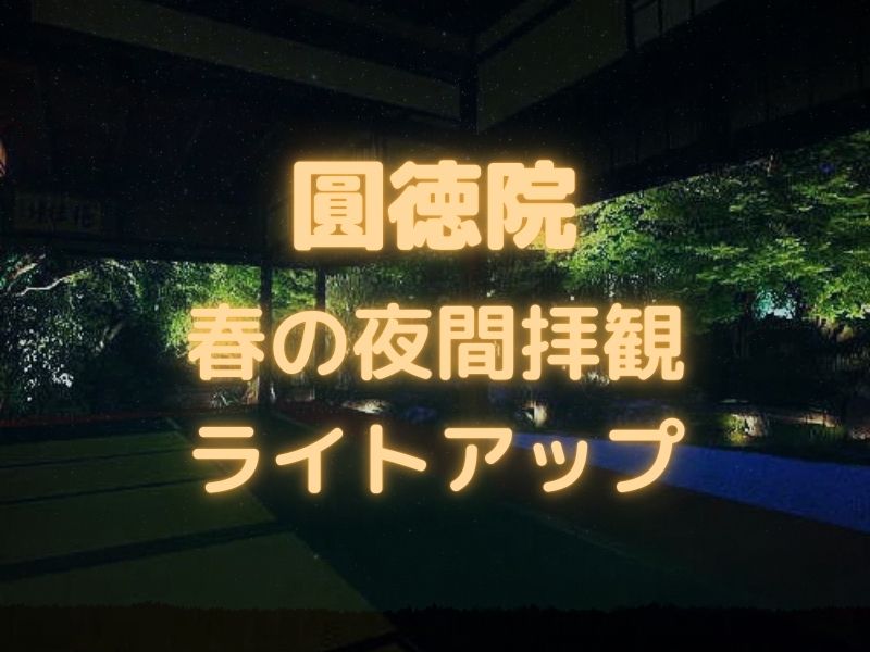 圓徳院 夜間拝観・ライトアップ / 京都観光旅行ガイド