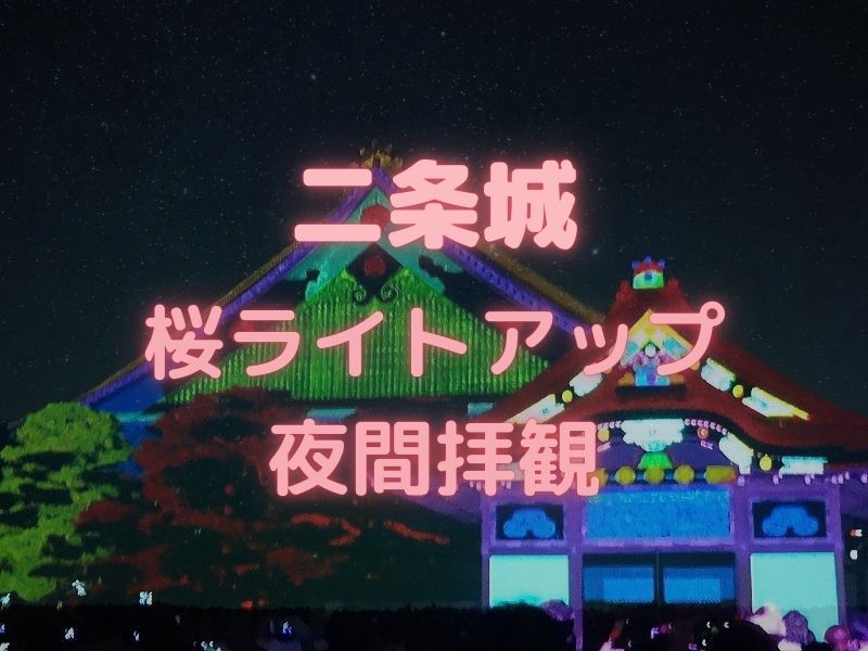 二条城 桜ライトアップ / 京都観光旅行ガイド
