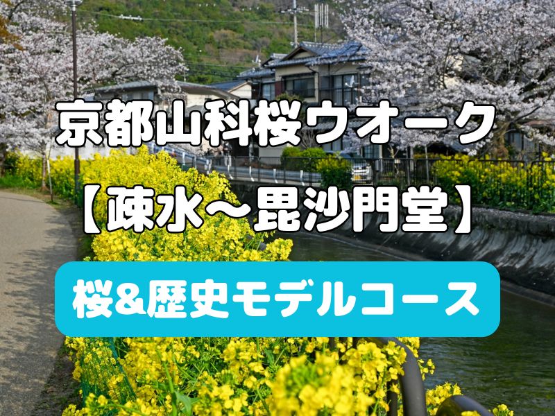 山科桜ウオーク / 京都観光旅行ガイド