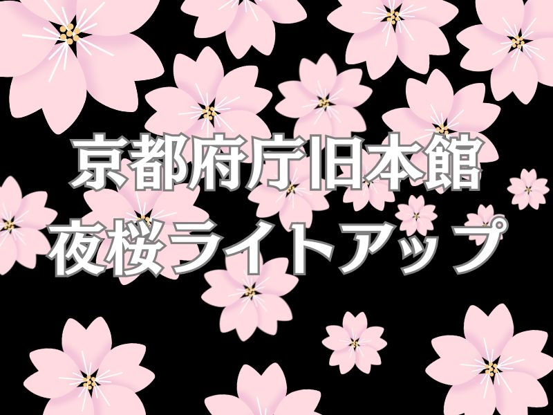 京都府庁旧本館 夜桜ライトアップ / 京都観光旅行ガイド