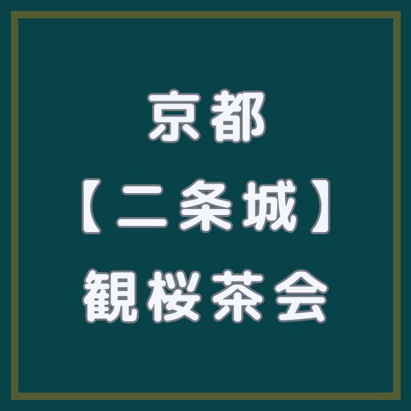 二条城 観桜茶会 / 京都観光旅行ガイド