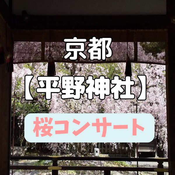 平野神社 桜コンサート / 京都観光旅行ガイド