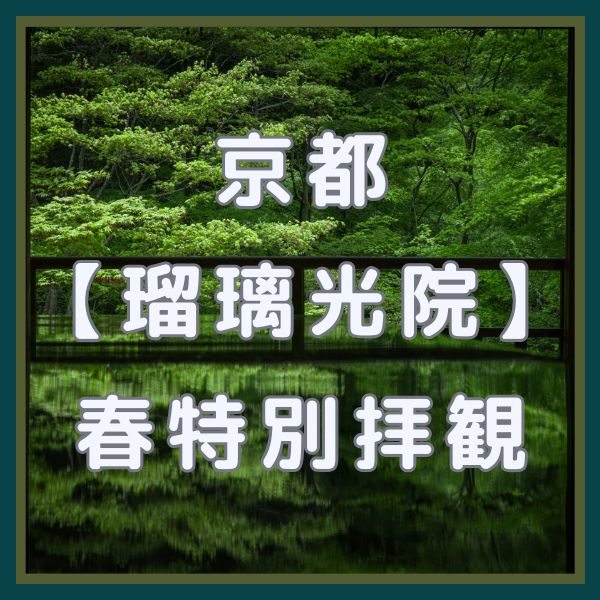 瑠璃光院 春の特別拝観 / 京都観光旅行ガイド