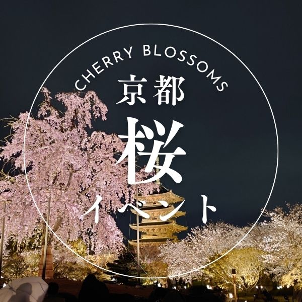 京都 桜イベントまとめ / 京都観光旅行ガイド