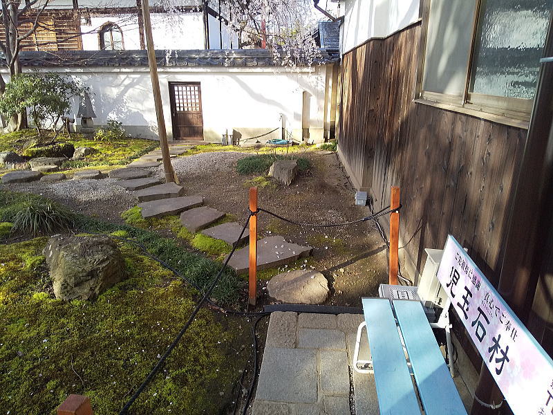 本満寺しだれ桜通行禁止 / 京都観光旅行ガイド