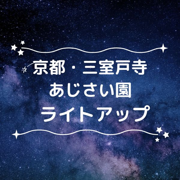 三室戸寺 あじさい園ライトアップ / 京都観光旅行ガイド