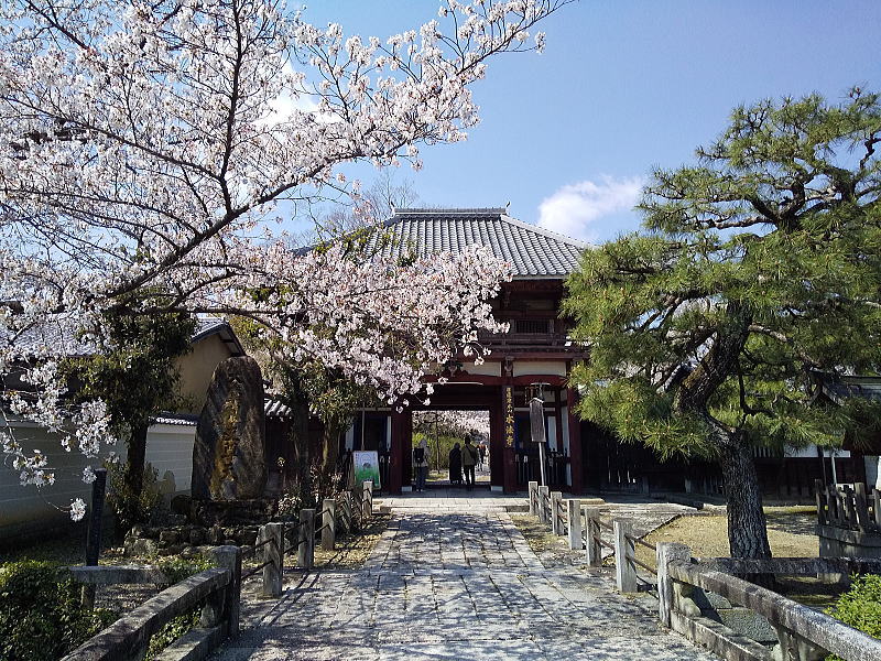 本法寺 仁王門 / 京都観光旅行ガイド