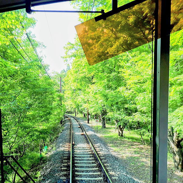 叡山電鉄 青もみじ新緑の徐行運転 / 京都観光旅行ガイド