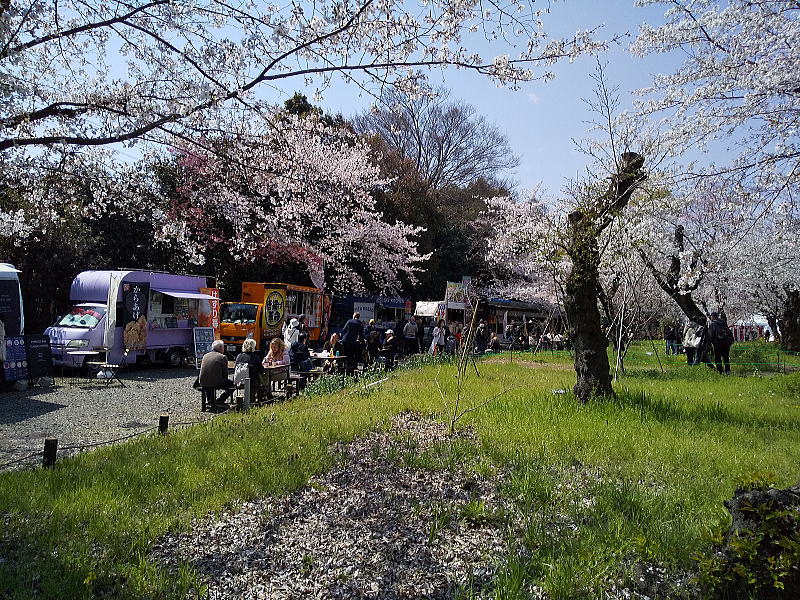 平野神社 桜苑キッチンカー / 京都観光旅行ガイド