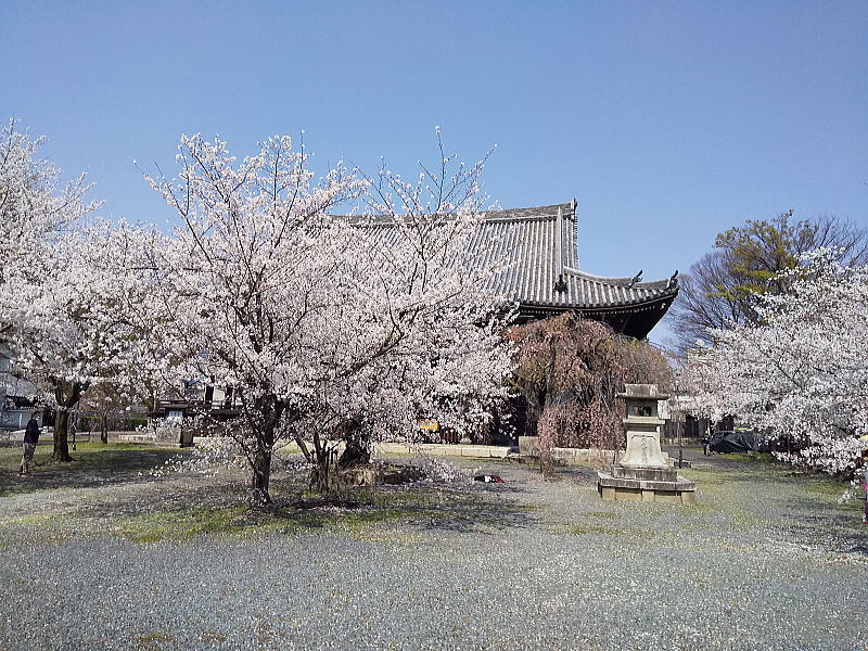立本寺 境内 / 京都観光旅行ガイド