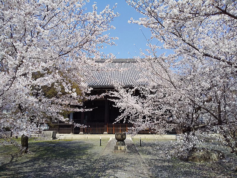 立本寺 本堂 / 京都観光旅行ガイド