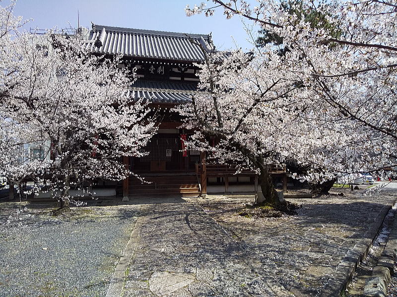 立本寺 刹堂 / 京都観光旅行ガイド