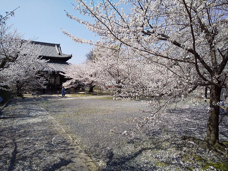 立本寺 境内 / 京都観光旅行ガイド