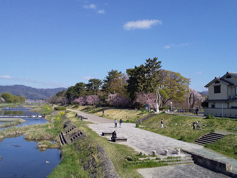 半木の道 / 京都観光旅行ガイド
