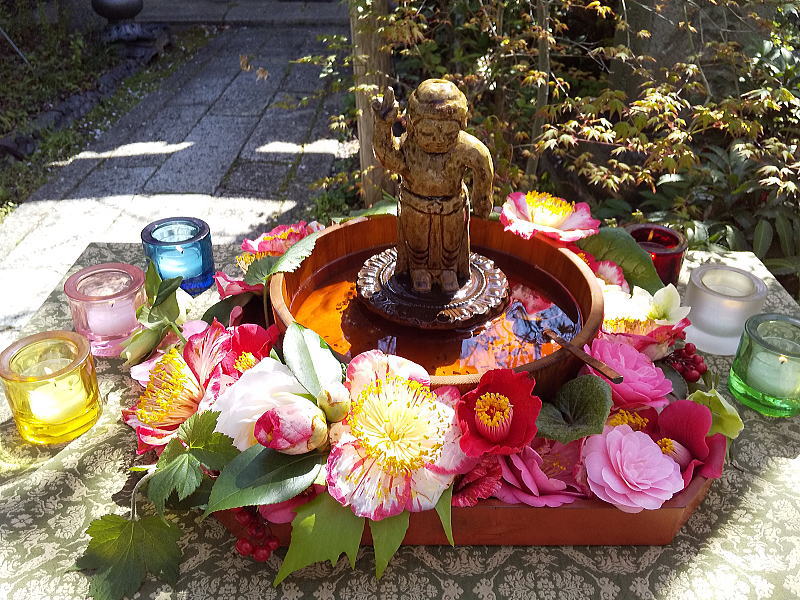 雨宝院 花まつり / 京都観光旅行ガイド