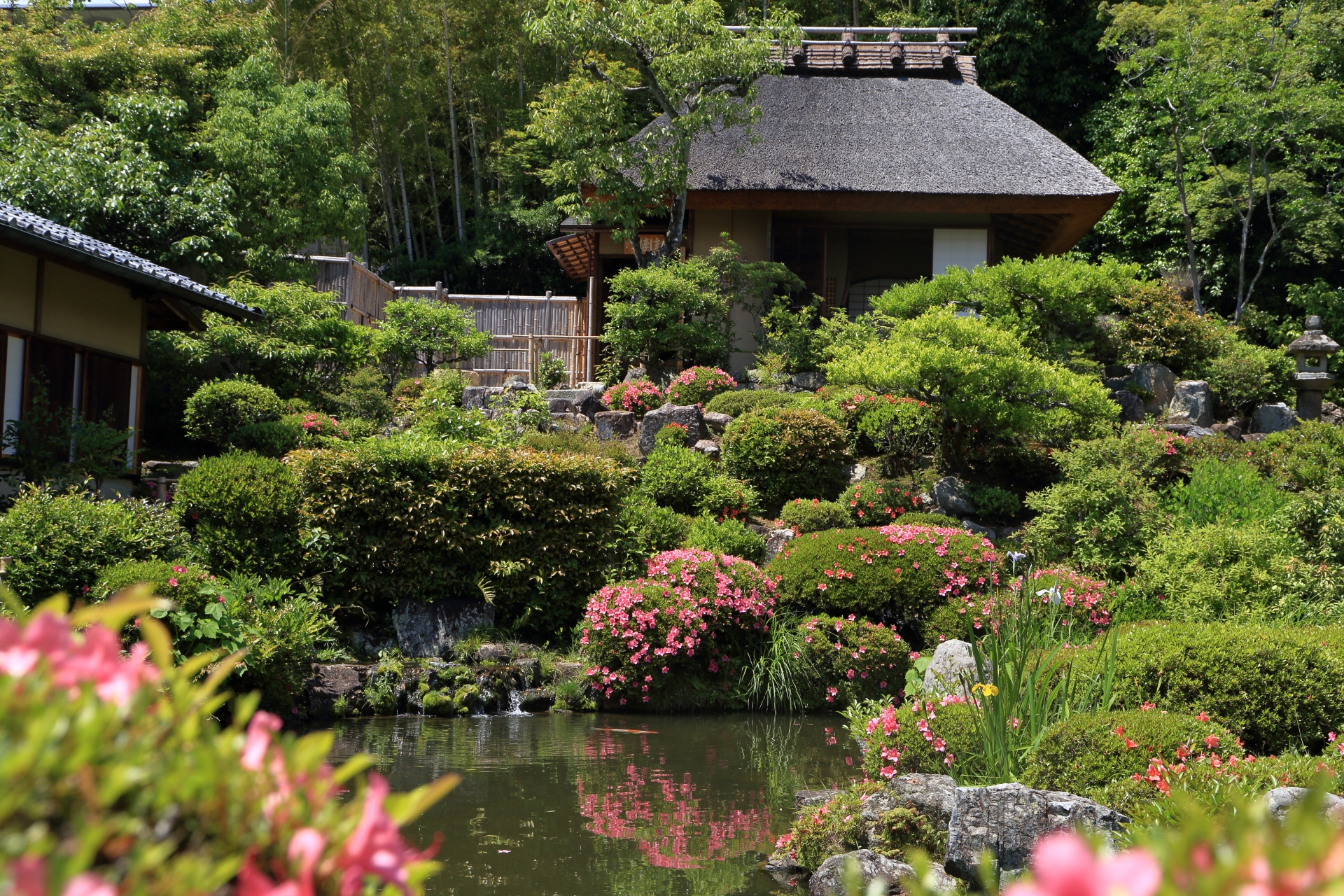 等持院 つつじ / 京都観光旅行ガイド