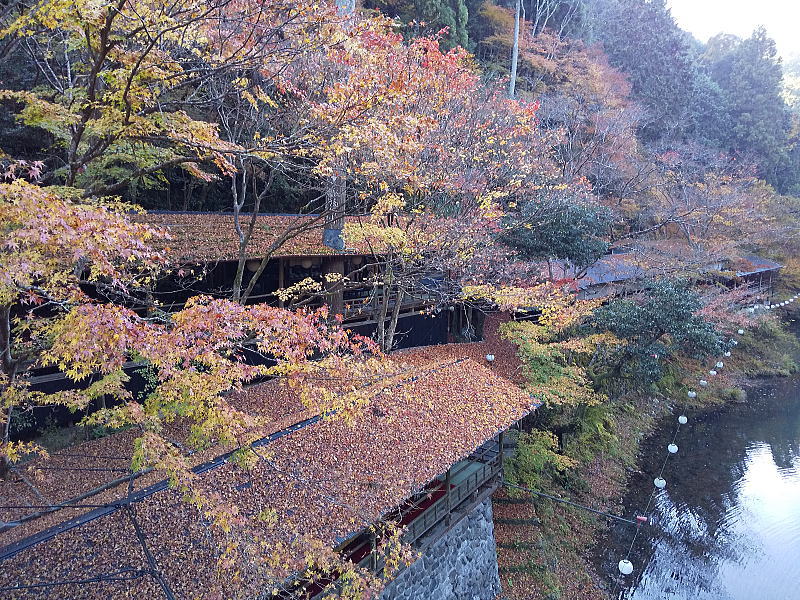 高雄川床 / 京都観光旅行ガイド