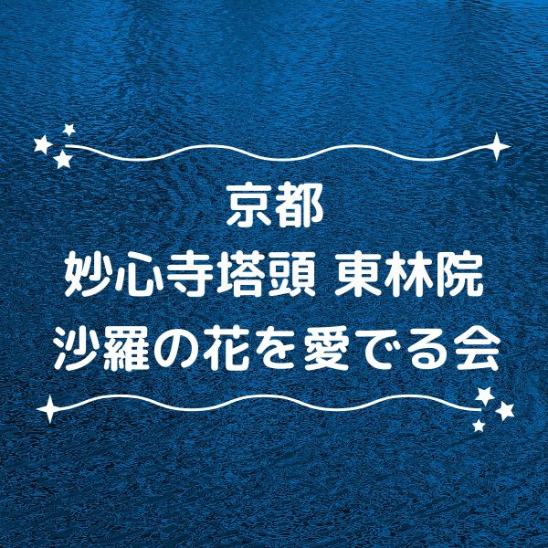 東林院 沙羅の花を愛でる会 / 京都観光旅行ガイド