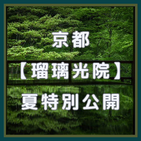 瑠璃光院 夏の特別拝観 / 京都観光旅行ガイド