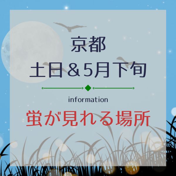 京都の土日&5月下旬【蛍が見れる場所】