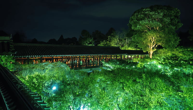 東福寺「ZEN NIGHT」ライトアップ・夜間拝観 / 京都観光旅行ガイド