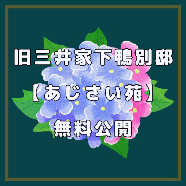 旧三井家下鴨別邸 あじさい苑の無料公開 / 京都観光旅行ガイド