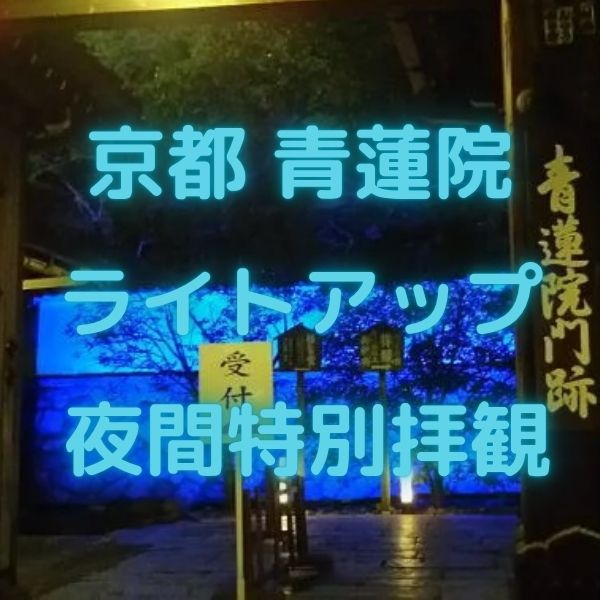 青蓮院 ライトアップ 夜間拝観 / 京都観光旅行ガイド