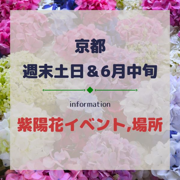 京都【週末土日&6月中旬】あじさいイベント,紫陽花が見れる場所