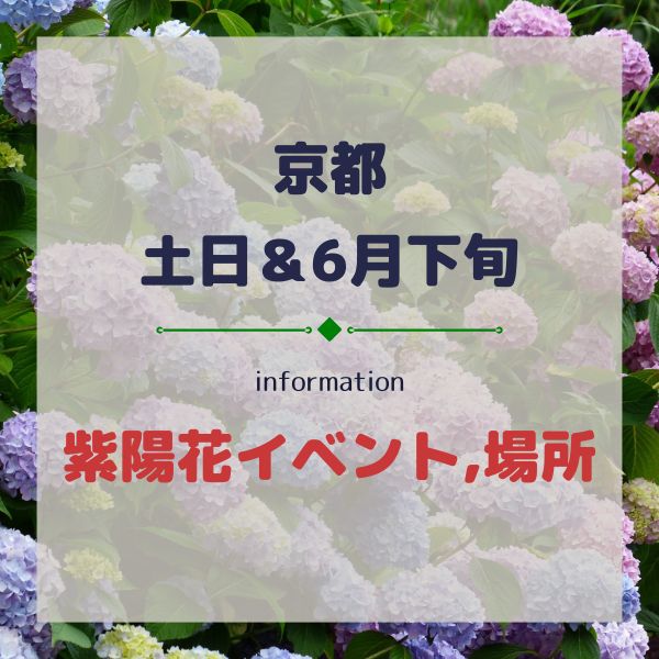 京都【土日&6月下旬】あじさいイベント,紫陽花が見れる場所