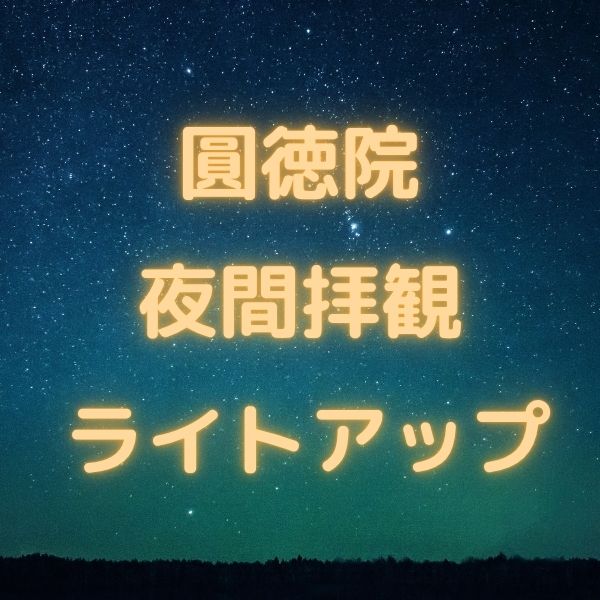 圓徳院 夏のライトアップ / 京都観光旅行ガイド