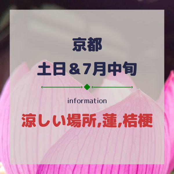 京都【土日&7月中旬】涼しいい場所&デートスポット,蓮&桔梗など