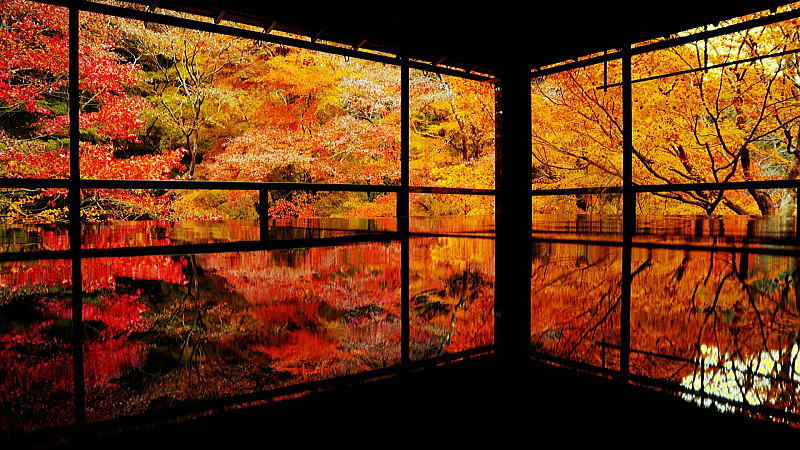 瑠璃光院 秋の特別拝観 / 京都観光旅行ガイド