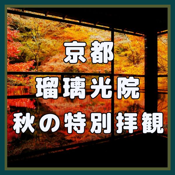 瑠璃光院 秋の特別拝観 / 京都観光旅行ガイド