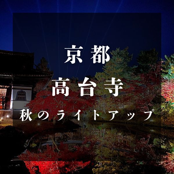 高台寺 ライトアップ秋 / 京都観光旅行ガイド