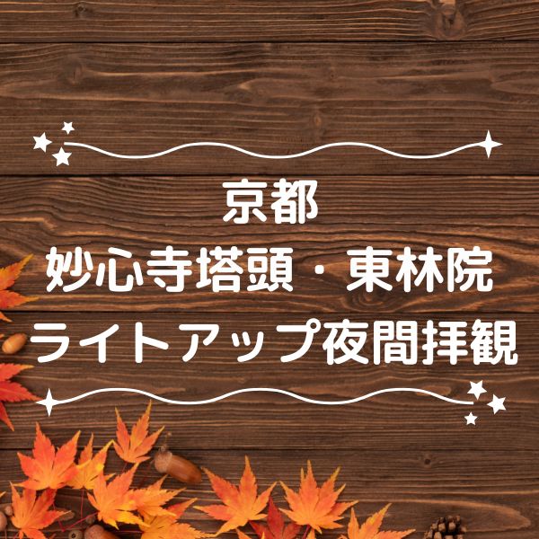 東林院 ライトアップ・夜間拝観 秋 / 京都観光旅行ガイド