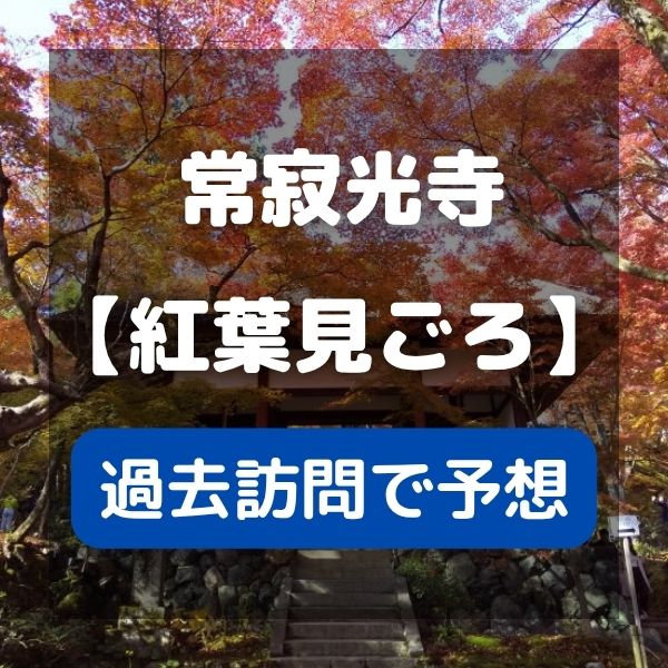 常寂光寺 紅葉 見頃 / 京都観光旅行ガイド