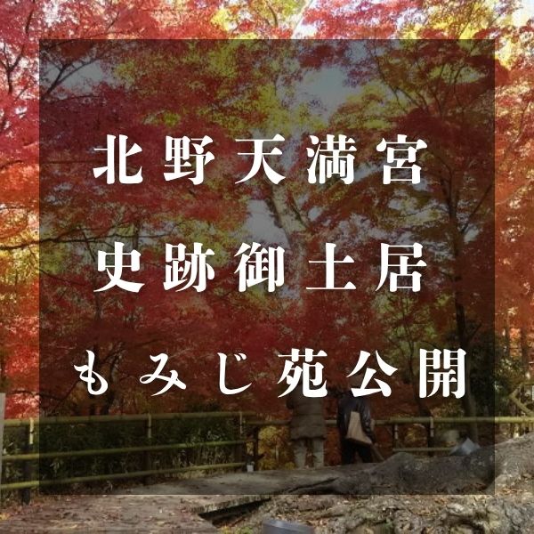 北野天満宮 御土居 もみじ苑公開 秋 / 京都観光旅行ガイド
