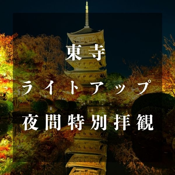 東寺紅葉ライトアップ / 京都観光旅行ガイド