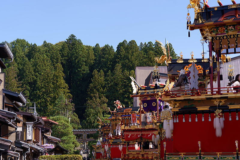 高山祭 秋 (八幡祭) 屋台曳き揃え