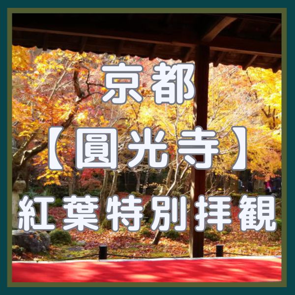 圓光寺 紅葉特別拝観 / 京都観光旅行ガイド